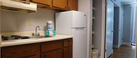 Großer Kühlschrank, Mikrowelle, Herdplatte