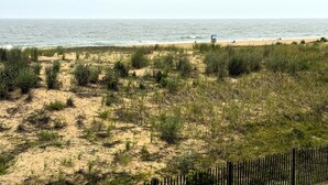 A beach with sand dunes and sparse vegetation. - Cozy, yet spacious 2 bedroom oceanfront condo with free WiFi and a stunning view of the ocean located midtown just a few steps to the beach! (Ocean City)