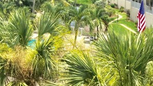 A lush garden with palm trees, a swimming pool, and an American flag. - Top Floor View With Bottom Floor Pricing...... (Sanibel)
