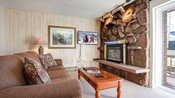 TV, fireplace, DVD player