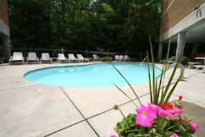 Piscine chauffée