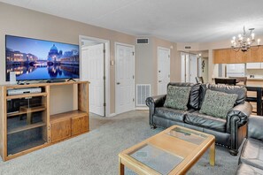 TV, fireplace, DVD player