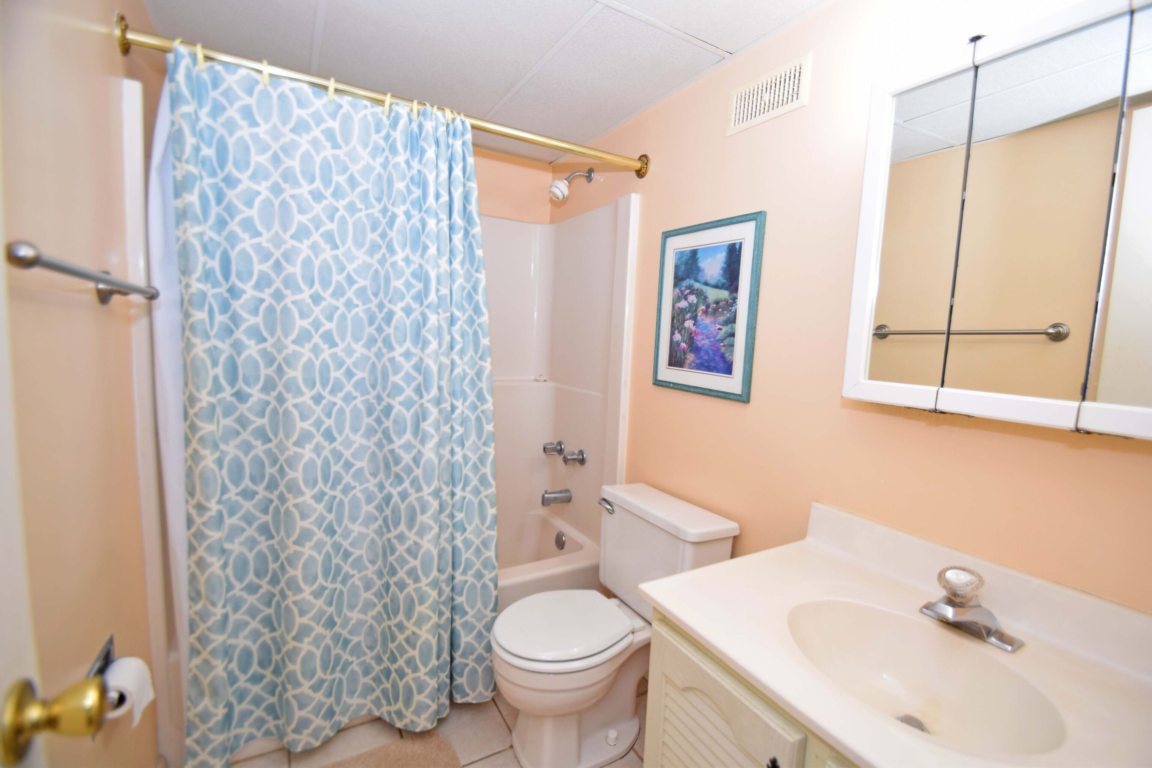Ein Badezimmer mit Duschvorhang, Toilette, Waschbecken und einem gerahmten Bild an der Wand.