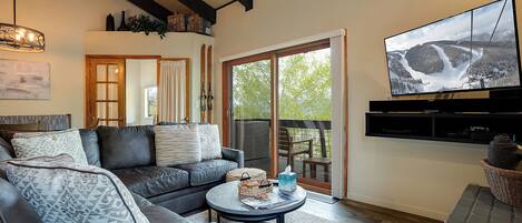 Télévision, cheminée, lecteur de DVD