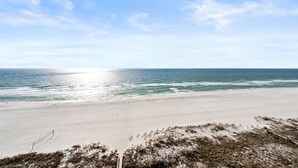 Ein Strand mit klarem Himmel, sandigem Ufer und spärlicher Vegetation.