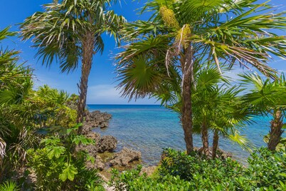 Perfect Location Overlooking the Sea in West End