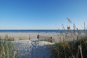 On the beach