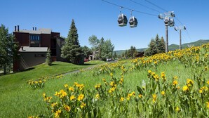 A building with a modern architectural style, a grassy area with yellow flowers, and a cable car system in the background. - W3321 | Gorgeous Updated Condo | Pool | Walk to Mtn Village | Winter Shuttle (Steamboat Springs)