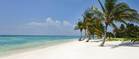 A beach with white sand and clear turquoise water.