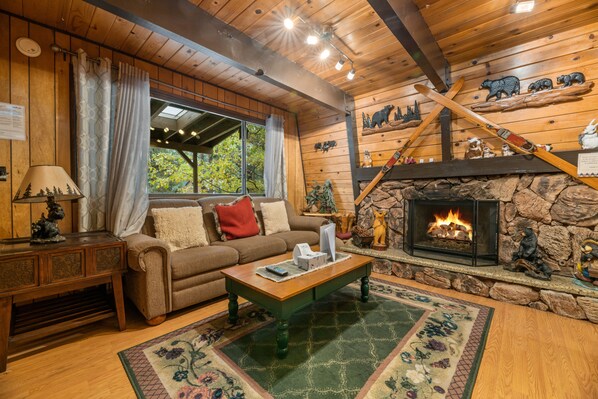 Televisión, chimenea, reproductor de DVD