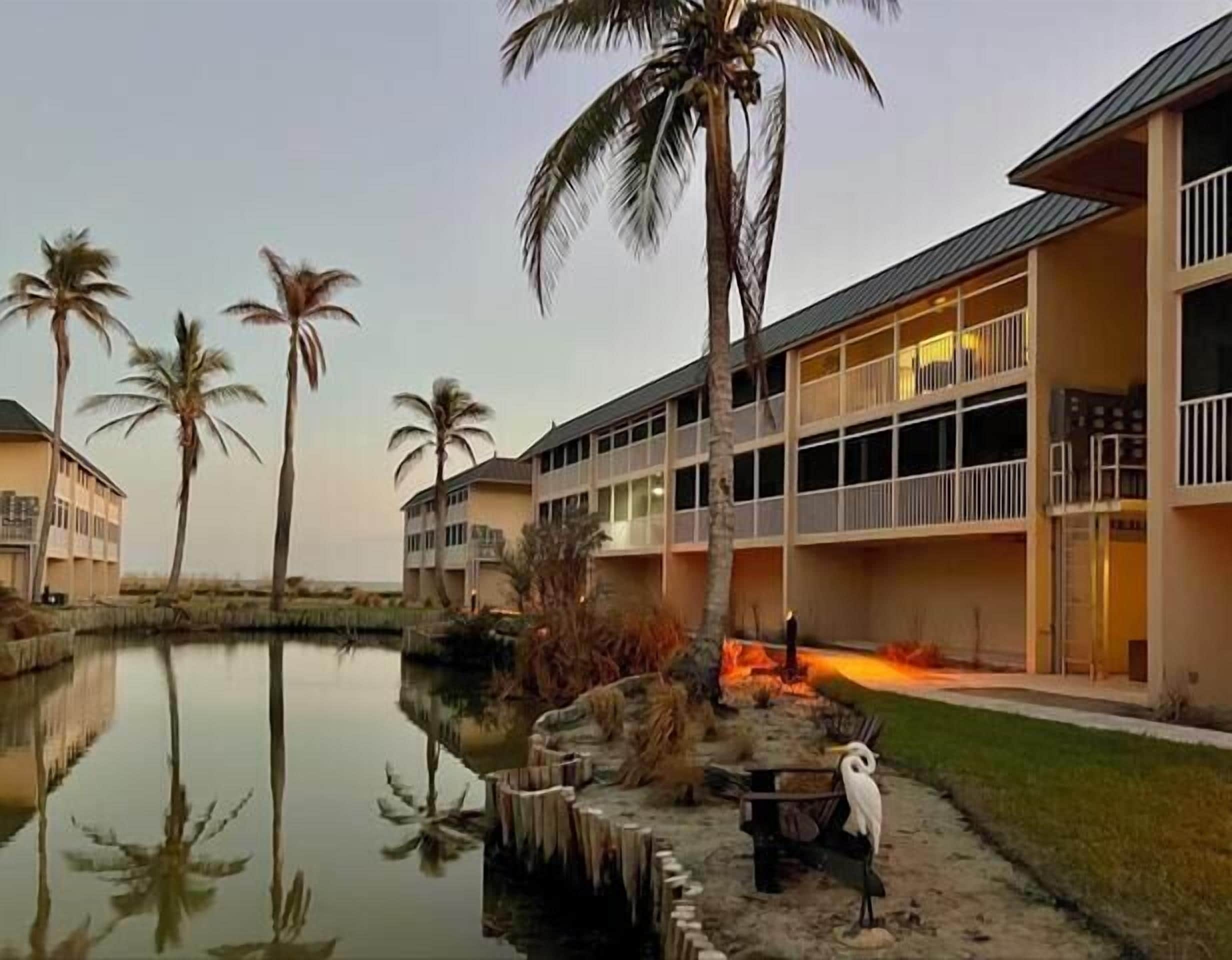 A building with multiple floors, a pool, and palm trees.