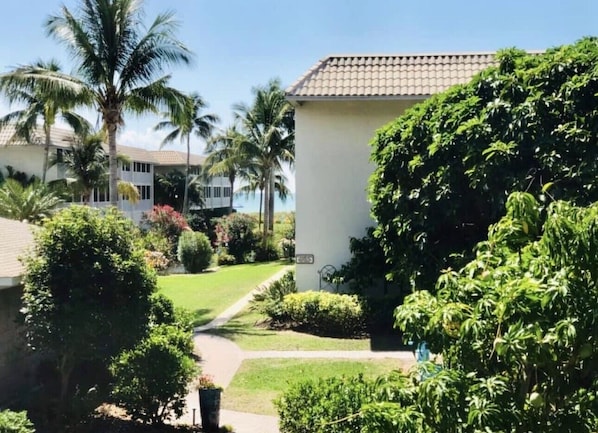Zona residencial com um edifício branco, palmeiras e um gramado bem cuidado.