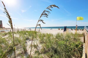 Une plage avec un rivage sablonneux, une clôture en bois et un drapeau jaune.