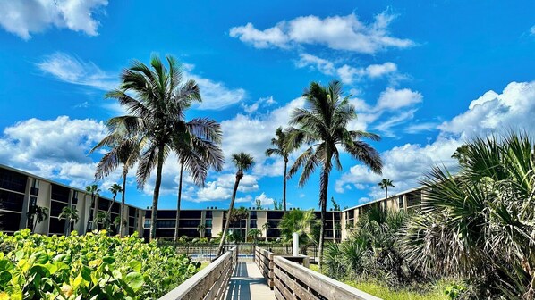 A pathway leading to a building with palm trees and a clear blue sky.