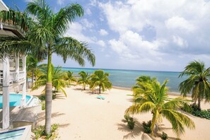 A beach with palm trees, a pool, and a view of the ocean.