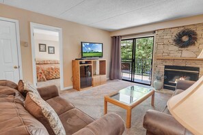 TV, fireplace, DVD player