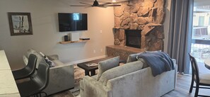 Televisión, chimenea y reproductor de DVD 