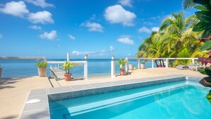 A pool with a view of the ocean, surrounded by potted plants and lounge chairs. - Beachfront, Poolside, Kayaks for snorkeling the reef! (West End)