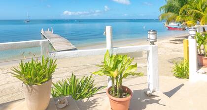 Beachfront + Poolside + Kayaks pour la plongée en apnée du récif dans votre cour avant!