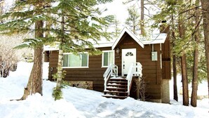 Una baita di legno con una scala che conduce a una porta bianca, circondata da neve e alberi.