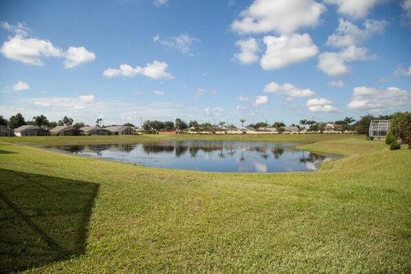A grassy area with a pond and houses in the background.