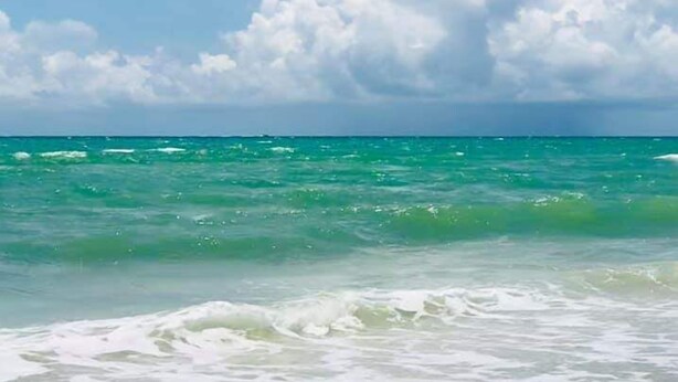 On the beach - Multiple GULF VIEWs (Sanibel)