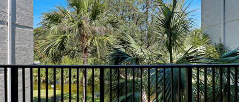 A balcony with a view of a garden, including palm trees and a pond.