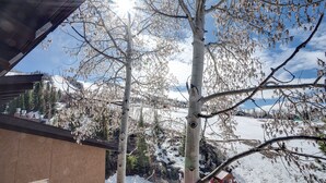 A snow-covered landscape with a building and trees in the foreground. - SE076 | Mountainside Condo | View | Hot Tub | Winter Shuttle | Ski In/Out (Steamboat Springs)