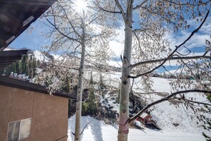 Property grounds - SE076 | Mountainside Condo | View | Hot Tub | Winter Shuttle | Ski In/Out (Steamboat Springs)