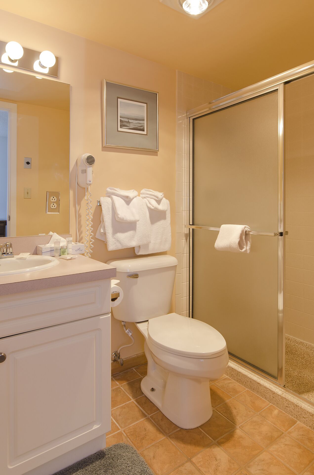 A bathroom with a toilet, a sink, a hairdryer, and a shower.