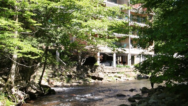 Une rivière serpente à travers un lit rocheux, bordée d’arbres de chaque côté, et se dirige vers un immeuble à plusieurs étages doté de balcons.