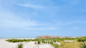 Een strand met duinen en schaarse begroeiing.