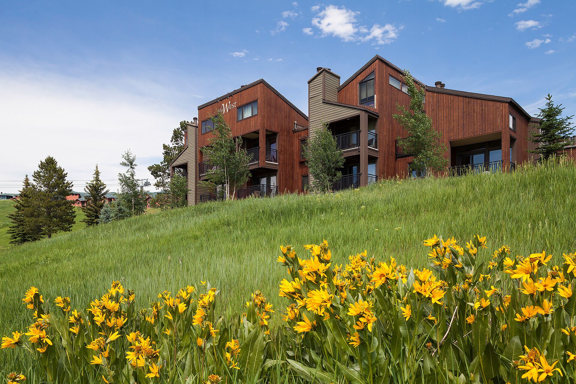 Ein modernes Gebäude mit Holzfassade und mehreren Balkonen, umgeben von einer Wiese mit gelben Blumen.