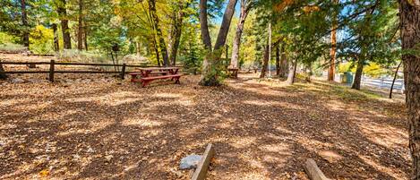 Um camping com mesas de piquenique, lareira e paisagem de floresta natural.