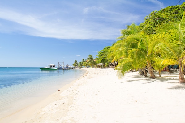 A beach with white sand, clear blue water, and palm trees.