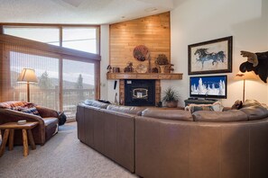 TV, fireplace, DVD player