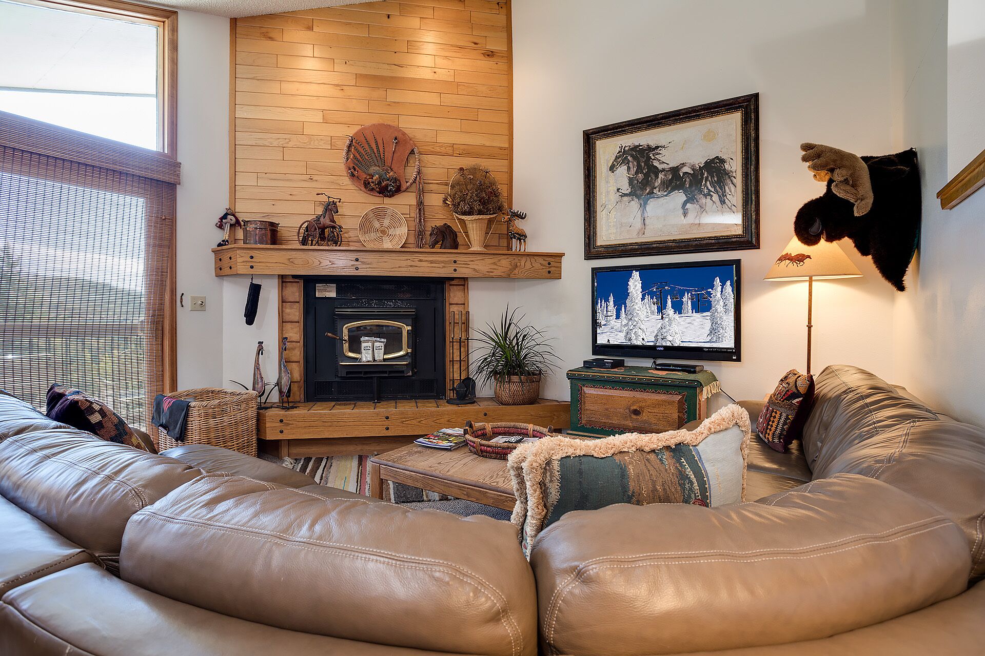 TV, fireplace, DVD player