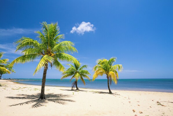 Playa en los alrededores 