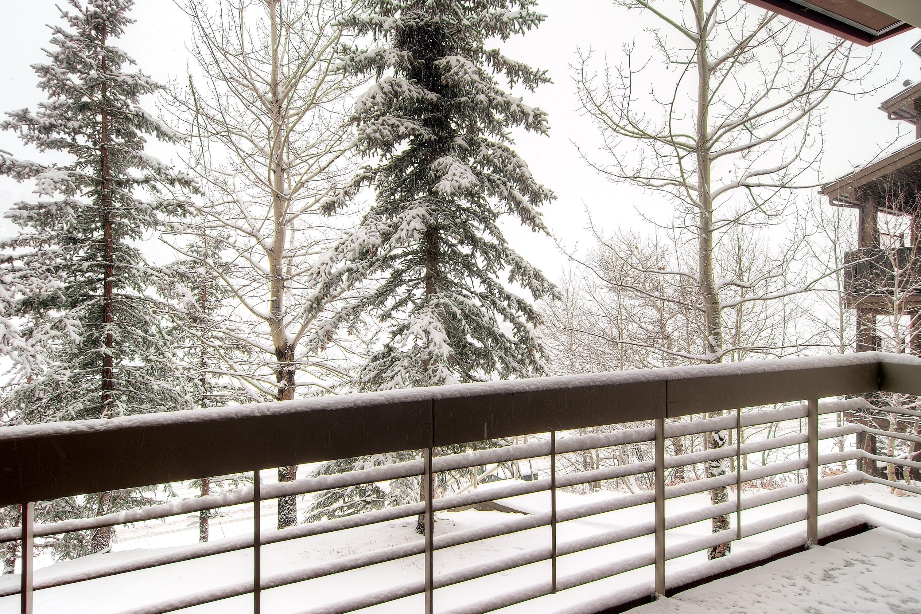 A snow-covered balcony with a metal railing, overlooking a forest of tall evergreen trees.