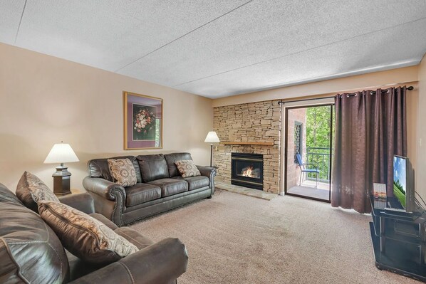 TV, fireplace, DVD player