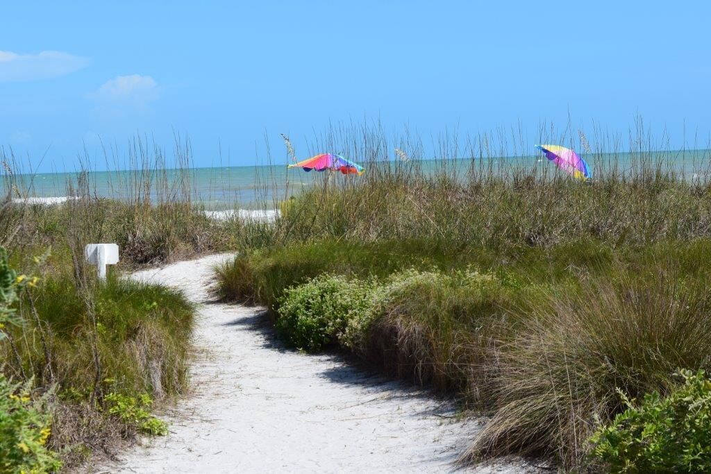A sandy beach path with tall grasses and two colorful umbrellas.