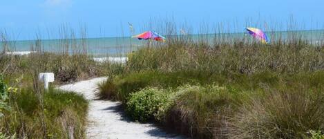A sandy beach path with tall grasses and two colorful umbrellas.