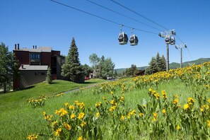 Property grounds - W3204 | Modern Studio | Pool | Hot Tub | Winter Shuttle | Walk to Slopes (Steamboat Springs)