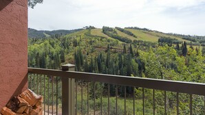 Un balcón con vista a un paisaje boscoso.
