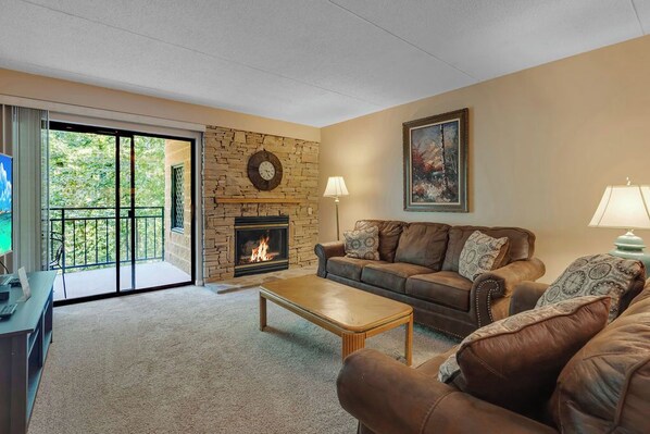 TV, fireplace, DVD player