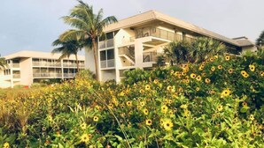 A multi-story building with balconies, surrounded by a field of sunflowers. - Bright And Beachy (Sanibel)