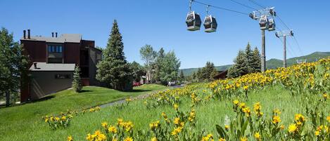 A building with a modern architectural style, a grassy area with yellow flowers, and a cable car system in the background.