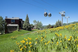 A building with a modern architectural style, a grassy area with yellow flowers, and a cable car system in the background.