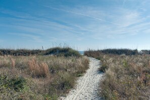 On the beach - Stunning Oceanfront Retreat. Steps to the sand and Coligny! (Hilton Head)