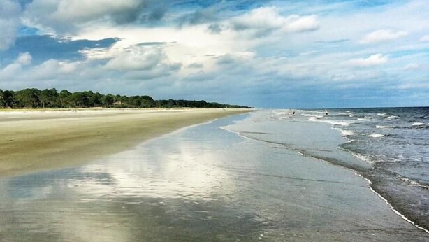A beach with a wide sandy shore, calm water, and a line of trees in the background. - Oceanfront Paradise! Heated Beachside Pool (Hilton Head)